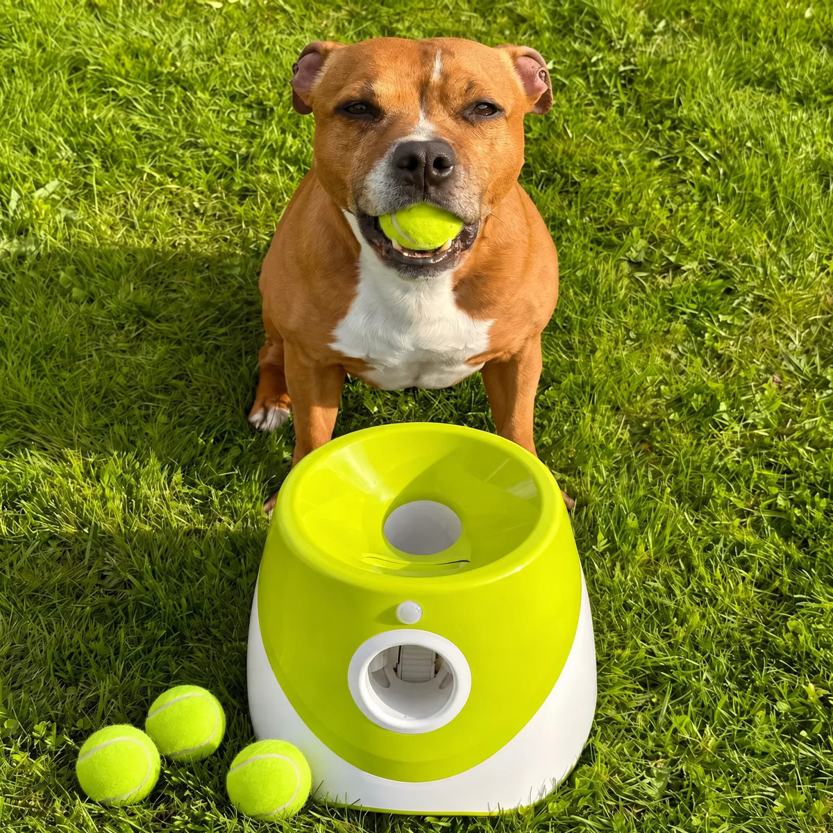 Muffly™ Automatic Dog Ball Launcher