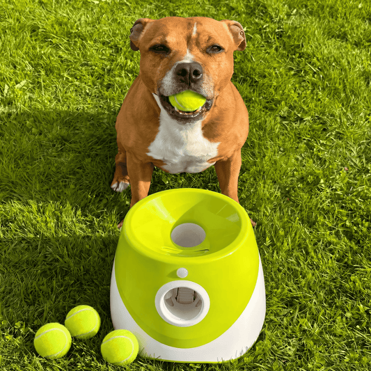 Muffly™ Automatic Dog Ball Launcher