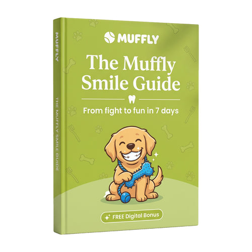 Muffly Smile Guide