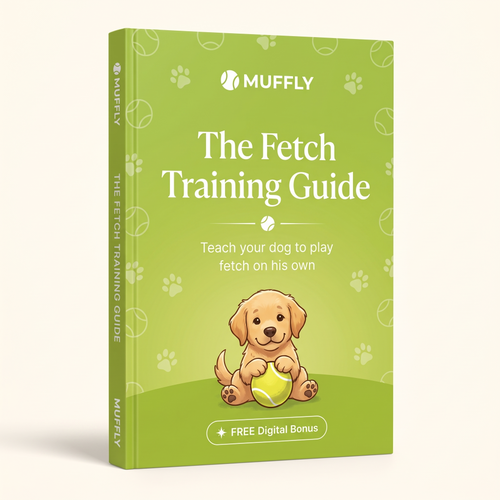 + FREE Fetch Training Guide