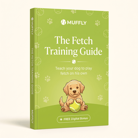 + FREE Fetch Training Guide