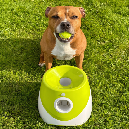 Muffly™ Automatic Dog Ball Launcher